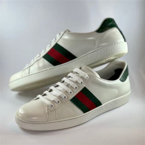 scarpa ginnastica gucci